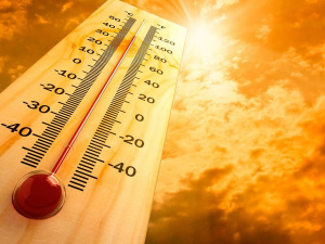 Фото з відкритих джерел 