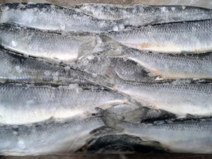 Фото з відкритих джерел