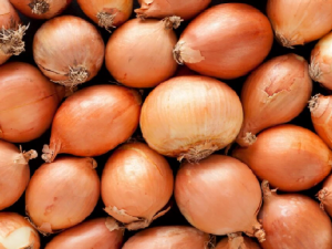 В Україні швидко дешевшає цибуля: скільки наразі коштує овоч