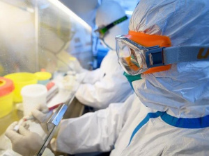 Фото из сети Интернет