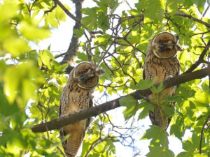 Фото пресс-службы компании Метинвест
