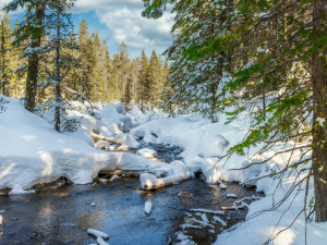Сніг у квітні - фото ілюстративне з відкритих джерел     