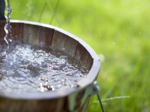 Фото з відкритих джерел