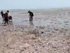 Стоп-кадр із відео Держагентства меліорації та рибного господарства України