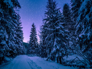 Фото з відкритих джерел      