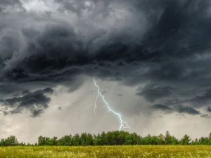 Фото із мережі інтернет