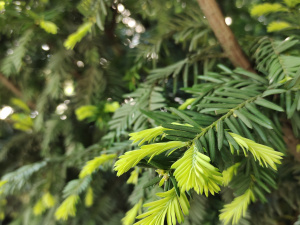 Фото редакції krivbass.city