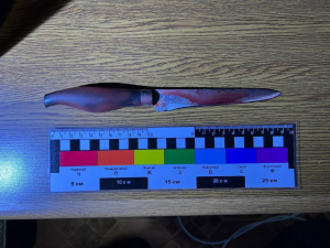 У Кривому Розі правоохоронці затримали чоловіка за вбивство співмешканки