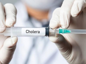 Фото з відкритих джерел