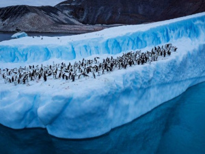 Фото із мережі Інтернет