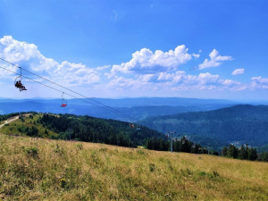 Фото з відкритих джерел 
