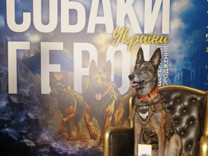 Фото Лариси Борисенко