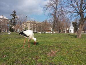 Фото Ірина Колосова