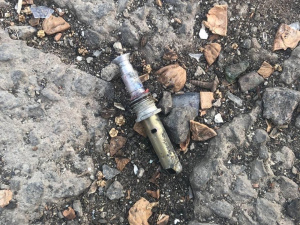 Поліція попереджає: у Кривому Розі діти знайшли небезпечний боєприпас у лісосмузі