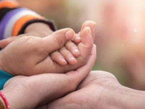 Фото из сети Интернет