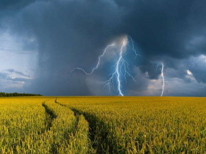 Фото з відкритих джерел