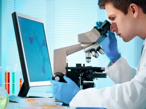 Посилений ветеринарно-санітарний контроль на Дніпропетровщині: деталі