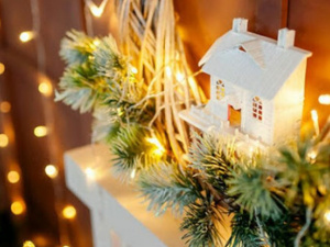 Фото из сети интернет