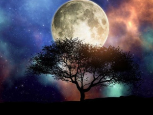 Фото з відкритих джерел