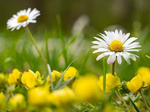 Фото з відкритих джерел