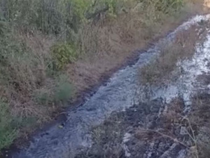 Фото: Максим Петрович (Facebook)