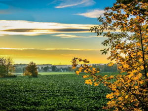 Погода на тиждень - фото ілюстративне з відкритих джерел 