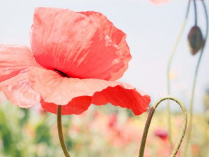 Фото: Depositphotos