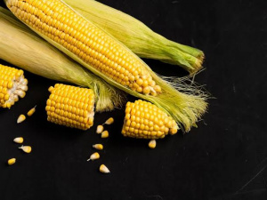 Як зробити кукурудзу соковитою без варіння: прості лайфхаки