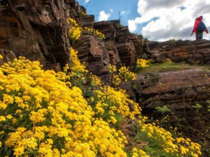 Фото Facebook/ Кривий Ріг туристичний