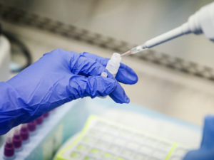 Фото із мережі Інтернет