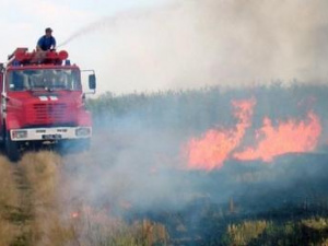 Фото з відкритих джерел 