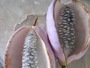 фото Вікторії Тротнер