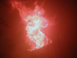 Фото пресслужби ДСНС Дніпропетровської області