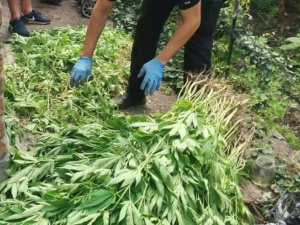 Фото пресс-службы Криворожского отдела полиции