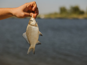Фото пресслужби Дніпропетровської ОВА
