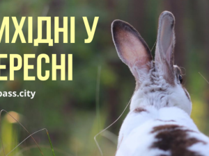 Скільки вихідних днів буде у вересні?