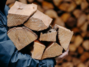 Понад тисяча родин Дніпропетровщини отримала безкоштовні дрова: хто надав допомогу