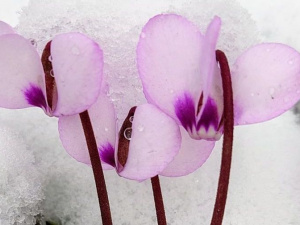 Фото Миколи Баранця (Facebook)