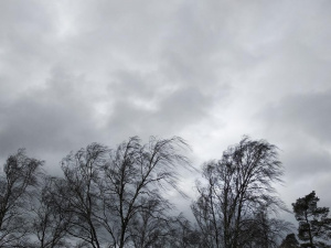 Фото ілюстративне з відкритих джерел 