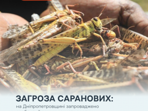 Фото Держпродспоживслужба