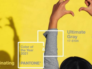Інститут кольору Pantone представив одразу два кольори 2021 року
