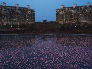 Фото із мережі Інтернет