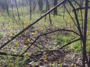 Фото пресс-службы Полка патрульной полиции Кривого Рога