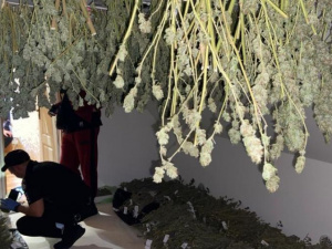 Фото пресс-службы полиции Днепропетровской области