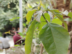 Фото редакції krivbass.city