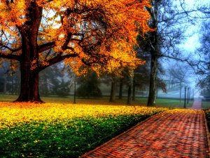 Погода на тиждень - фото ілюстративне з відкритих джерел 