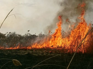 Фото із мережі Інтернет