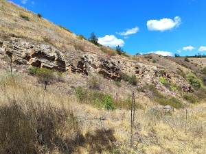 Фото Криворізький ботанічний сад