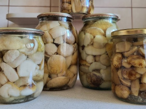 консервовані зеленушки, фото з відкритих джерел