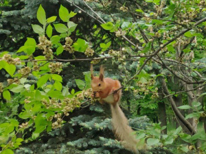 Фото редакції krivbass.city